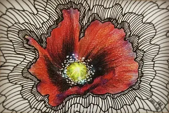 菱形格
